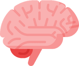 brain